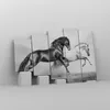 Bild auf Leinwand - Leinwandbild - Pferde Tiere Galopp Produktbild-Vorschau 4
