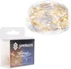 A product package for LED string lights with a coiled string of lights visible above it. Voir les images du produit