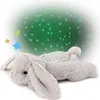 Cloud b® Dream Buddies Benny the Bunny™ - Peluche/luce con Anteprima dell’immagine prodotto 23