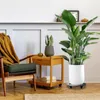 Omgoods – 8 Stück Blumentopf-Unterlagen aus Mesh – Runde Produktbild-Vorschau 4