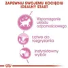 Royal Canin Sachets fraîcheur Kitten Instinctive en sauce Voir les images du produit 9