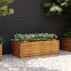vidaXL Záhradný vyvýšený záhon 100 x 50 x 36 cm cortenová Náhľad obrázku produktu 2