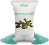 Eisensulfat 1kg Heptahydrat Hortensiendünger Garten Produktbild-Vorschau 1