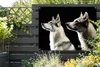 MuchoWow® Produktbild-Vorschau 5