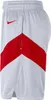 Hosen Nike Nba Toronto Raptors Home CN8088100 Produktbild-Vorschau 2