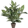 Mica Decorations Dieffenbachie Kunstpflanze - H70 x Ø55 cm Produktbild-Vorschau 1