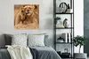 MuchoWow® Poster Löwe - Wilde Tiere - Jungtier 75x75 cm - Produktbild-Vorschau 4