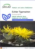 SAFLAX - Echter Tigerrachen - Faucaria tigrina - 40 Samen Produktbild-Vorschau 1