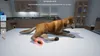 A dog is lying on a white surface in what appears to be a veterinary clinic or examination room. There are medical tools and cabinets in the background. Anteprima dell’immagine prodotto
