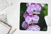 MuchoWow® Mauspad Mousepad Blühende Orchideen 30x30 cm - Produktbild-Vorschau 5