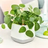 Lechuza Yula Pflanzgefäß weiß / Pistaziengrün 13872 Produktbild-Vorschau 12