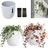 Lot de 2 supports muraux pour plantes, pot de fleurs mural, Voir les images du produit 1