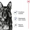 Royal Canin Size Maxi Adult 5+ - 15 kg Náhled obrázku produktu 4