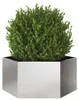 vidaXL Pflanzkübel Sechseckig 104x90x45 Edelstahl Produktbild-Vorschau 2