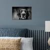 MuchoWow® Poster Tierprofil Labrador Hund in schwarz und Produktbild-Vorschau 4