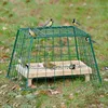 Beschermkooi maxi CJ Wildlife CJ Wildbird Productafbeelding-voorbeeld 2
