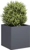 vidaXL Pflanzkübel Anthrazit 40x40x40 cm Kaltgewalzter Produktbild-Vorschau 2