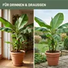 Green Home Love Nature  Bananendünger 1 l, Flüssigdünger Produktbild-Vorschau 6
