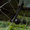 Trekker chenil avec toit 3 x 3m Voir les images du produit 4