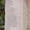 Ösengardine Allover fein geblümt natur weiß 140x260cm Produktbild-Vorschau 4