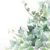 20 kleine Cocktailservietten Hedera white - Grüner Efeu auf Produktbild-Vorschau 2