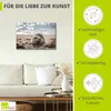 ARTland Leinwandbild Baby-Robbe am Strand von List, Sylt Produktbild-Vorschau 2