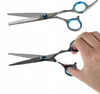 Two pairs of scissors are shown against a white background. One pair is a thinning shear, and the other is a standard shear. A hand is holding the standard shear. Anteprima dell’immagine prodotto