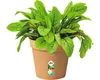 Kvetináč ELHO Green Basics Ø13x12 cm - jemná hlinená Náhľad obrázku produktu 3