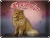 vianmo Blechschild 30x40 cm Katze Perserkatze England Produktbild-Vorschau 1