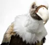 Carl Dick Vautour env. 27cm Peluche, animal en peluche, Voir les images du produit 3