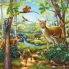 Forêt/zoo/animaux domestiques Ravensburger 09265 Voir les images du produit 3