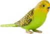 Mojo Fun Budgerigar Green, 3 lat(a), FARMLAND, Zielony, Podgląd zdjęcia produktu 6