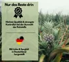Enzym Komplex, mit 800mg Bromelain (5000 F.I.P), 300mg Produktbild-Vorschau 6