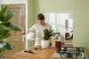 A woman is watering a plant on a wooden counter. Produktbild-Vorschau