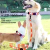 Führleine Halsband,Led-Leine, USB stark und verschleißfest Produktbild-Vorschau 3