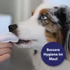 Canosept Zahnpflege Pads für Hunde - 50er Pack Produktbild-Vorschau 3