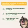 AniForte Morosan 6 x 100g - Bioqualität Schonkost für Hunde Produktbild-Vorschau 3