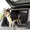 A dog stands in the open trunk of a car next to a dog carrier. Anteprima dell’immagine prodotto