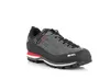 Meindl Literock GTX - Herren Wanderschuh - GRANITE/RED Produktbild-Vorschau 9