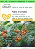 SAFLAX Garden to go - Arbre à tomates - 50 graines - Voir les images du produit 1