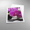 Poster - Poster ohne Rahmen - Orchidee Bambus Dekoration Produktbild-Vorschau 3
