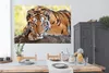 MuchoWow® Poster Tiger - Welpe - Rüssel 180x120 cm - Produktbild-Vorschau 4