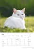 Katzen Kalender 2027 Produktbild-Vorschau 11