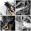 Poster - Poster ohne Rahmen - Eule Vogel Natur - 91,5x61 cm Produktbild-Vorschau 8