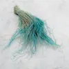 Federgras Getrocknete - (Stipa pennata) - Minze Produktbild-Vorschau 6
