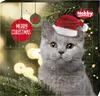 Nobby Adventskalender StarSnack für Katzen Produktbild-Vorschau 3