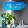 Blusana Hydroponik Flüssigdünger 1 Liter NPK 7-3-6 Produktbild-Vorschau 5