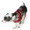 Hunter 46389, Hund, Zuggeschirr, L-XL, Schwarz, Rot, Nylon, Produktbild-Vorschau 5