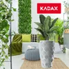 A modern living room with a vertical green wall, a sofa with green and patterned pillows, a knitted pouf, and a large potted plant in a decorative gray pot. Podgląd zdjęcia produktu