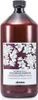 Davines Natural Tech Replumping Shampoo schützendes Shampoo Produktbild-Vorschau 1